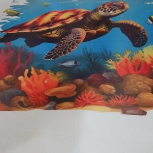 White T-Shirt with Sea Turtle Print